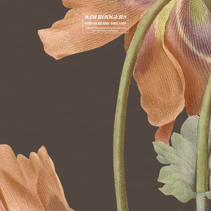 久操视频在线播放
