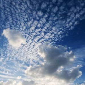 久操视频在线播放
